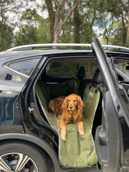 DOOG Car Seat Cover Grün